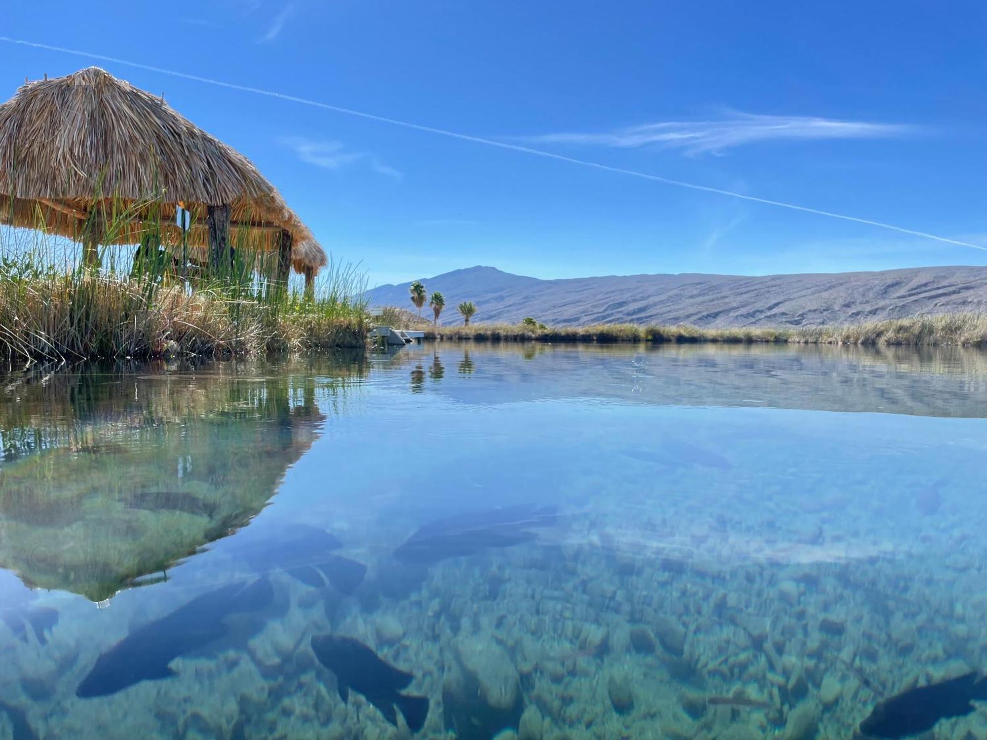 Hotel Casa Nodin Cuatrociénegas de Carranza Dış mekan fotoğraf